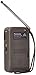 Panasonic RF-P50 AC/Battery Operated AM/FM Portable Radio (Discontinued by Manufacturer) (Silver/Small)