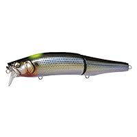 Amazon.co.jp: メガバス GORHAM(ゴーラム) 147F SW FA イワシ