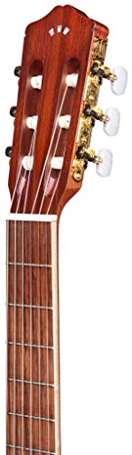 Cordoba C4-Ce Edge Burst Cutaway Classical Acoustic-Electric Nylon String Guitar, Iberia Series #TOP4