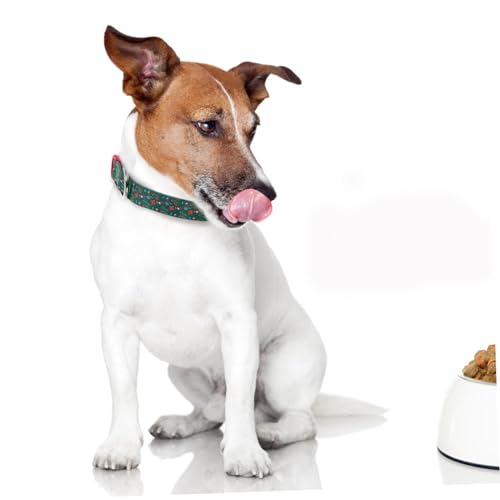Collier de chiens d'une finition durable et confortable pour animaux de compagnie