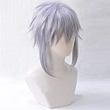 Kingdom Hearts Riku Short Cosplay Hair Synthetic Wig Halloween Role Playing Hair