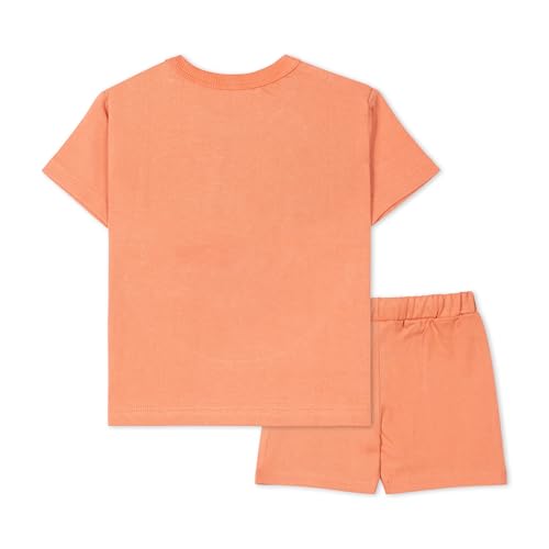 Image of ARIEL Baby Boys & Baby girls Cotton Printed Round Neck Half Sleeve T-shirt & Short Summer Clothing Sets