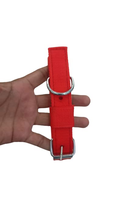 Image of PSK PET MART Dog Belt Combo of 3 /4 inch Red Dog Collar with Dog Chain Specially for Small Dogs & Puppies Under 10-15kg Dog Collar Chain