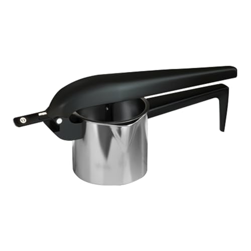 XL[U[ | XeX HiO[h Lb` ki - 蓮W[T[nhvX,C t[cW[X O[vt[c pbVt[cp