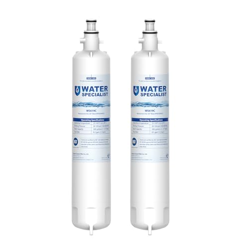 Waterspecialist Replacement for GE&reg; RPWFE&reg;, RPWF (Built-in CHIP) Refrigerator Water Filter,...