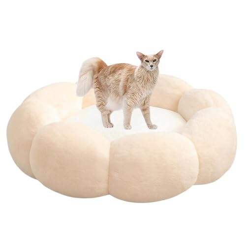 Lifetips IG^OwAL I ӂӂybgxbh Lp 􂦂 ~ ~p NbV ʔNΉ ې􂢉 Lpxbh ~p ~ߒ 􂦂Jo[ ᔽNbV iVFsNj