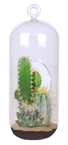 Cactus Terrarium Grow Kit by Unique Gardener - DIY Indoor Hanging or Standing Garden Starter Set with Complete Supplies, Easy to Grow Terrariums for Home Decor!