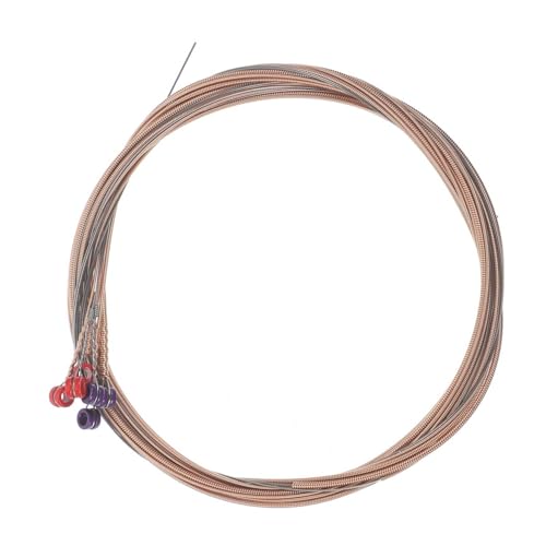 VINTORKY 6AR[XeBbNM^[ tH[NM^[p jo[Tdl NAȉF _炩ȒeSn