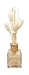 Omin Rattan Reed Diffuser Sticks Replacement with Tulip Flower Style Bouquet Natural Shape 9-10"
