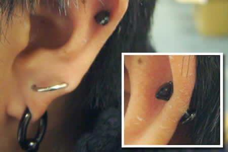 [グリーンピアッシング] ブラックロイヤルジュエルラブレット（インターナル）/16ゲージ