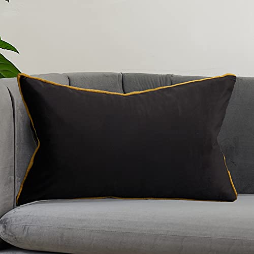 Avigers Lumbar Pillow Cover 12 x 20 Inch, Black, Velvet, Hidden Zipper