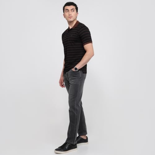 Image of Park Avenue Men Slim Fit Stripe Pattern Pure Cotton Polo Neck Half Sleeve Casual T-Shirt