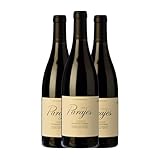 César Márquez Parajes Bierzo 75 cl Vino tinto (Caja de 3 Botellas de 75 cl)