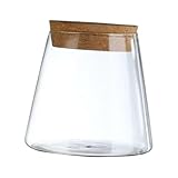 [Fiable et haut de gamme] : Ce vase hydroponique en verre à la texture fine peut accueillir de belles fleurs et de jolies décorations pour la maison et le bureau