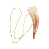 Design in corno di mucca naturale: questo sport è realizzato in autentico corno di mucca, che fornisce motivi distintivi a ogni corno da gioco per i fan e celebra la bellezza dei materiali , corno da calcio, piccolo corno da cheerleader