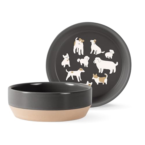 Fringe Studio DOGGOS Medium Stoneware Pet Bowl, PetShop Collection (479008)