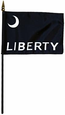 Annin Flagmakers 325361 Eb Fort Moultrie Mounted 4 x 6 in. 12 Pack