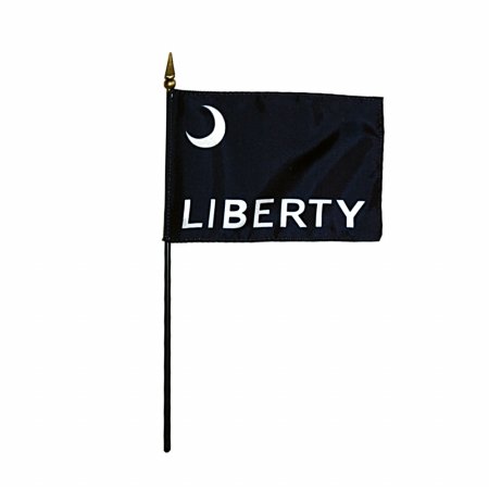 Annin Flagmakers 325361 Eb Fort Moultrie Mounted 4 x 6 in. 12 Pack