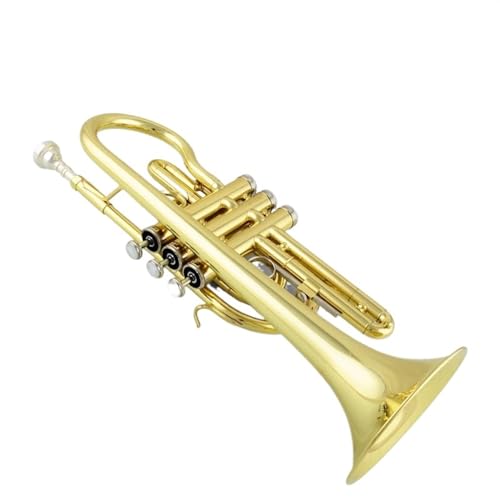 ygybg vtFbVi^JǑ BtbgbJ[S[hRlbgvtFbViohXN[lpy