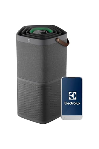 Electrolux EPO60571DG Purificador de aire con filtro HEPA de 5 etapas