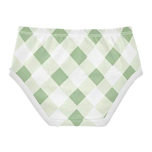 Cotton Briefs Underwear Moisture Wicking Breathable Toddler Underwear for Toddlers in Sizes 2T,3T, 4T, 5T, 6Y and 8Y2