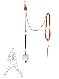 Teknigoo Baseball Swing Trainer with 13ft Height Adjustable Pulley - Hanging Practice Ball for Batting Drills Indoor/Outdoor - Improve Contact & Muscle Memory for Kids/Adults,Yard/Field/Park Use