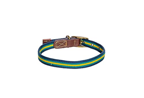 Danish Design FatFace Bold Stripe Blue and Yellow Woven Genuine Leather Trim Metal Buckle Dog/Puppy Collar Small 15mm 35-45 cm - Image 4