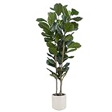 Artificial Fiddle Leaf Fig 6FT with White Planter - Artificial Plants Indoor,Faux Ficus LyrataTall Fake Floor Plant in Pot for Home Office Living Room Decor Indoor