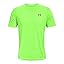 Quirky Lime / Black