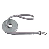 Busse