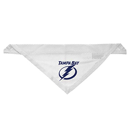 Tampa Bay Lightning Dog Cat Mesh Jersey Bandana S/M