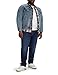 Produktbild Levi's Herren 502 Taper Big & Tall Jeans, Blau, 46W / 34L