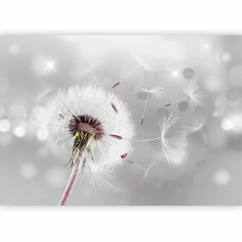 Fotomurales B&D XXL - Diente de leon 350x256 cm XXL Papel pintado tejido no tejido Decoración de Pared decorativos Murales moderna Diseno Fotográfico Flores Naturaleza b-C-0072-a-b #01