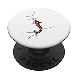 Photo Gallery bacio sea creature underwater tentacle octopus lover popsockets popgrip intercambiabile Photo Gallery bacio sea creature underwater tentacle octopus lover popsockets popgrip intercambiabile