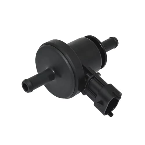 Électrovanne de purge de carburant Kia résout les ratés moteur 2891026900