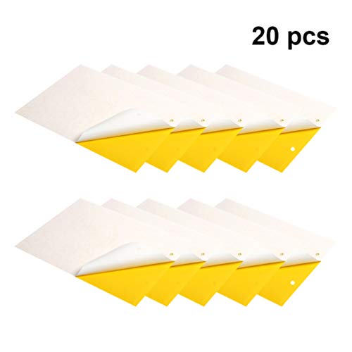Yardwe 30Pcs Placas de Cola De Insetos Armadilhas de Cola de Insetos Armadilhas da Mosca Armadilhas