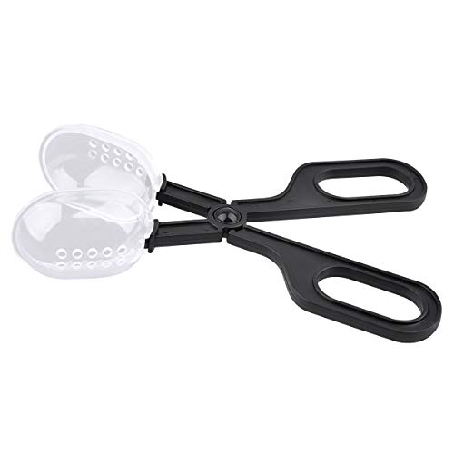 WEAVERBIRDÂ FeedingÂ ClipÂ AquariumÂ ReptileÂ ClipsÂ CleaningÂ SuppliesÂ forÂ SmallÂ ReptileÂ Animals