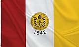 HVATLTL San Diego City Flag 3x5FT,Heavy Duty 100D Polyester Flag, Vivid Colors,Flags Banners with 2 Brass Grommets for Indoor Outdoor. (San Diego, 3x5ft)