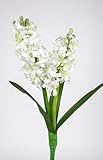 Seidenblumen Roß Hyazinthe mit 2 Blütendolden 36cm JA Kunstblumen Kunstpflanzen künstliche Blumen Pflanzen (Weiß)