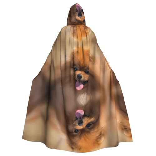 Capa con capucha de pomerania amarilla ideal para bailes de máscaras