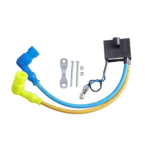 Kit de encendido completo para motor de gasolina 80cc PK80 con bobina de encendido CDI