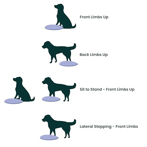 Fitpaws Balance-Disc für Hunde, 14', Violett