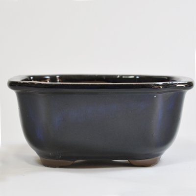 盆栽鉢もっこ 楽天市場】盆栽鉢 陶器 4.5〜5.5号 木瓜鉢 モッコ鉢 おしゃれ