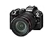 Canon EOS R6 Mark III RF24-105mm F4 L is USM Lens Kit