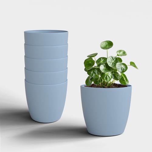 Image of YUCCABE ITALIA SHERA Stella 5 Inch Plastic Plant Pot for Home Decor Indoor Plant Pots for Living Room Plastic Flower Pot for Garden (Cyan, 5 INCH - 6 Pcs)