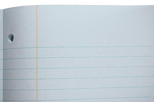 Koala Tools | Loose Leaf Notebook 1/3" (Wide) Ruled Theme Paper with Invisigrid - Light-Blue Tinted Paper - 60 Sheets - 10.5" x 8" - 3 Hole Punched, Tape Bound Notebook 2 31Agp8VfVNL