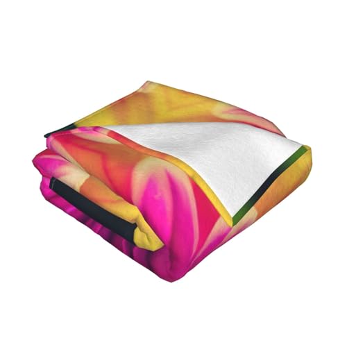Couverture polaire flanelle douce plaid lit canapé toutes saisons imprimé