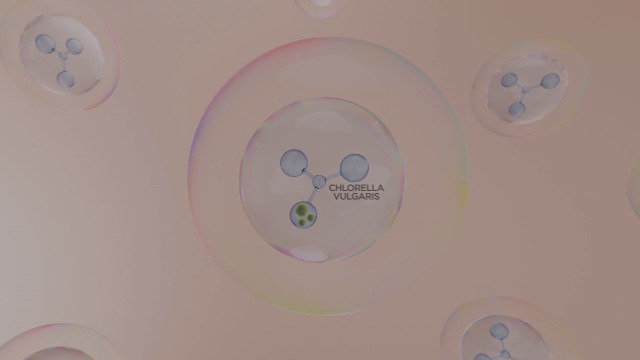 BeautyBio Zenbubble Oil-Free Calming Gel Cream. Calm and correct sensitive, blemish-prone skin