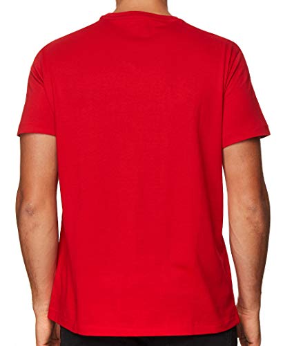 POLO RALPH LAUREN Men's T-Shirt