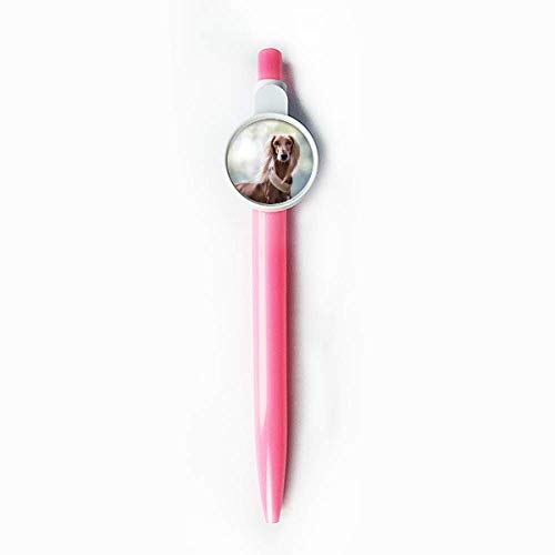 Stylo à bille rétractable long cou DIYthinker pour bureau et cours